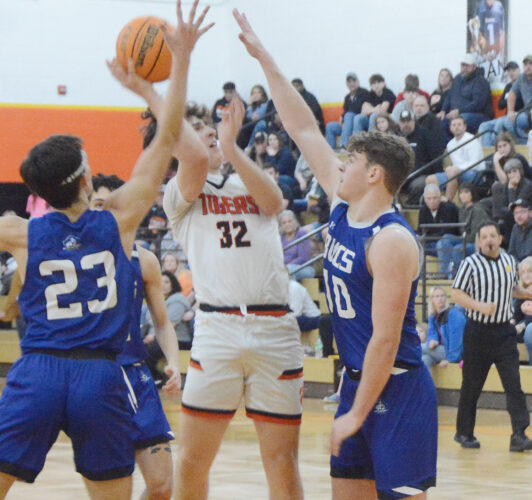 Bucs place four in double figures to coast past Tigers | News, Sports ...